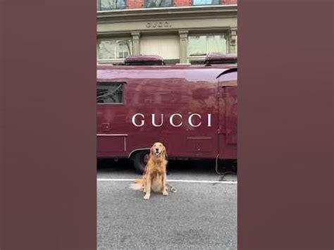 gucci airstream|wooster Gucci nyc.